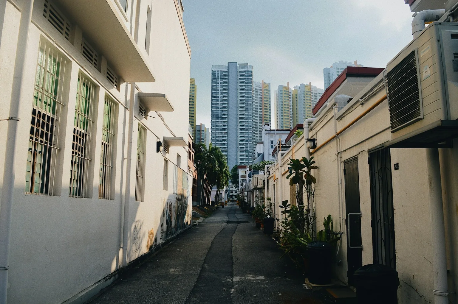 A lived-in Tiong Bahru lane with potted plants, white low-rise buildings and towers beyond.